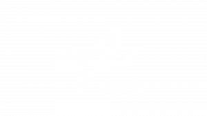 DLR_SW_umgekehrt_transparent
