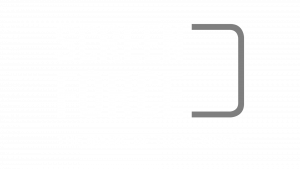 ScreenForce_SW_umgekehrt_transparent