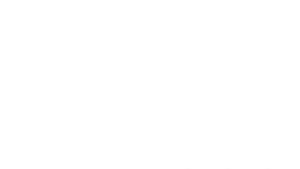 Sekurit_SW_umgekehrt_transparent