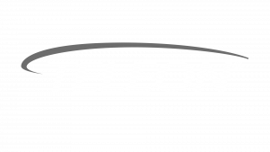 Teleon_SW_umgekehrt_transparent