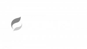 central_SW_umgekehrt_transparent