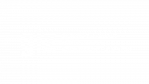 giz_SW_umgekehrt_transparent